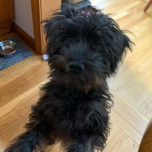 Meet your Posher, Maria